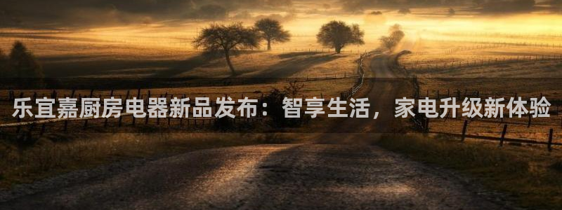 鸿运合拍字画拍卖平台