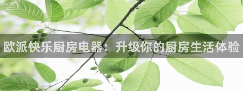 国际鸿运手机版平台