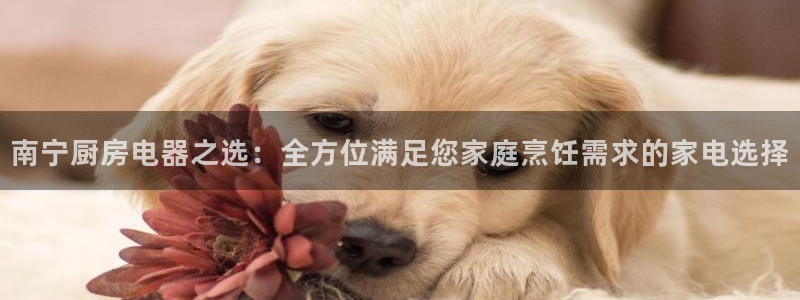 鸿运彩票平台快三