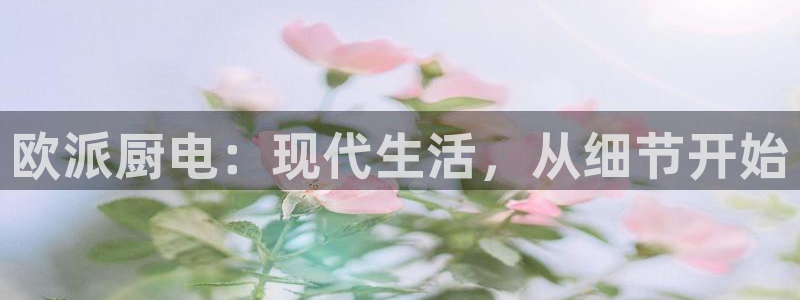 鸿运平台投资诈骗事件