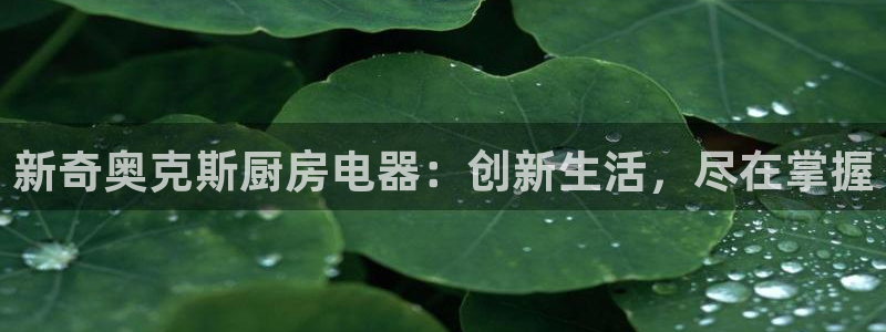 鸿运国际网址平台