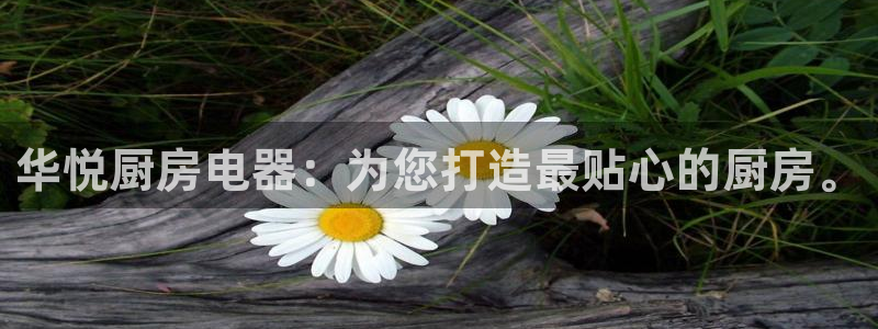 鸿运平台分分彩软件