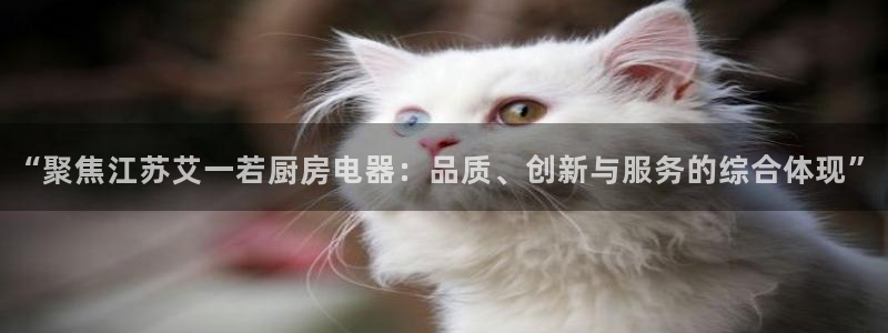 鸿运集团直播平台