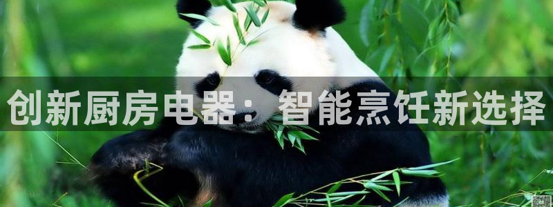 鸿运游戏棋牌平台