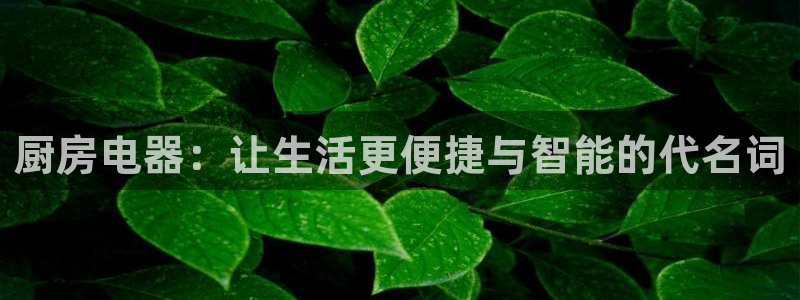 鸿运合拍字画拍卖平台