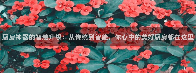 鸿运汽车团购平台