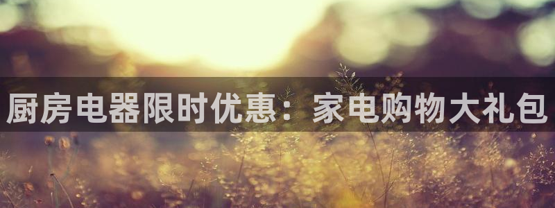 鸿运平台代理台