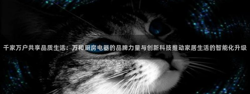 鸿运兄弟创造平台