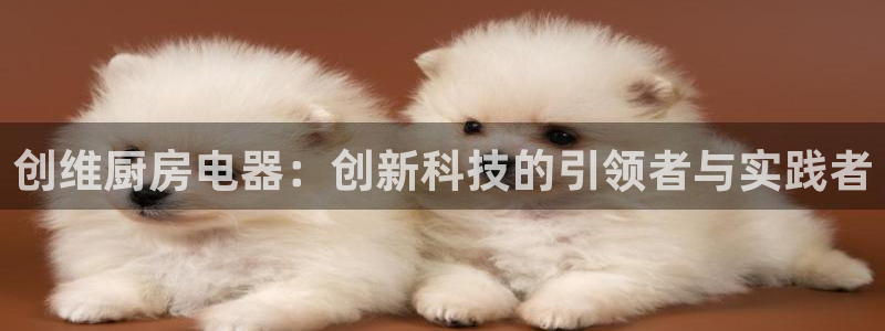 鸿运平台投资诈骗