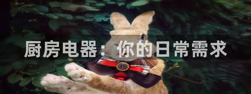 鸿运商滴管理平台