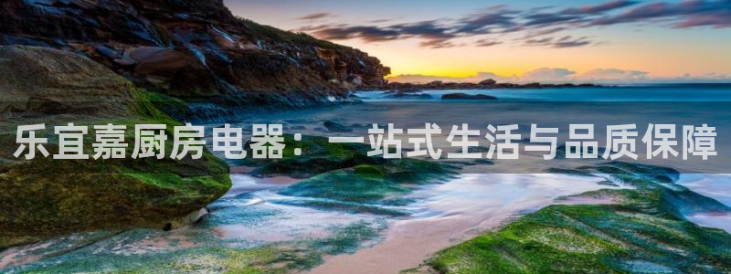 鸿运国际黑平台