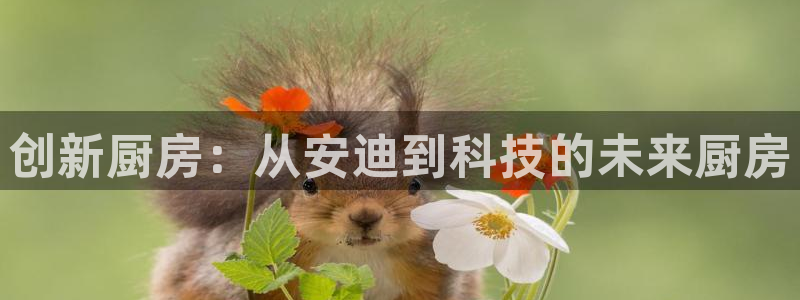 香港鸿运黑平台