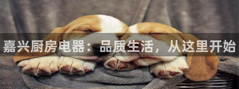 鸿运对战平台