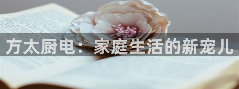鸿运六月直播平台