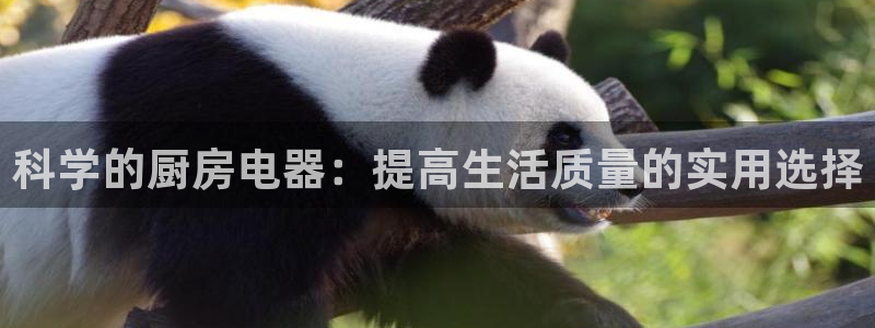 辣椒鸿运权威彩票平台