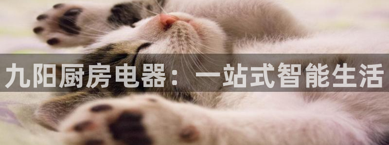 东方鸿运购物平台