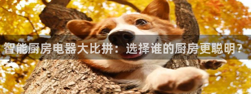 鸿运游戏平台投注