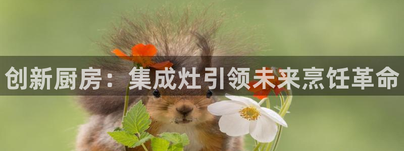 鸿运直播平台污