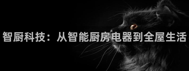 鸿运当头社交平台