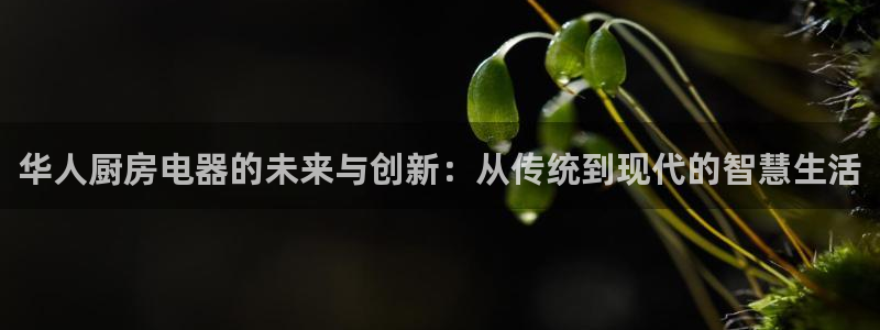 鸿运娱平台