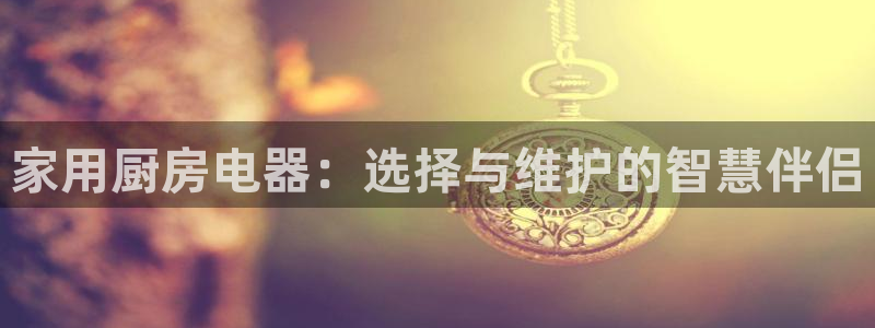 鸿运宝金融投资平台