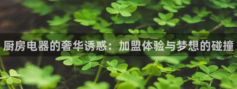 鸿运彩票平台可靠吗