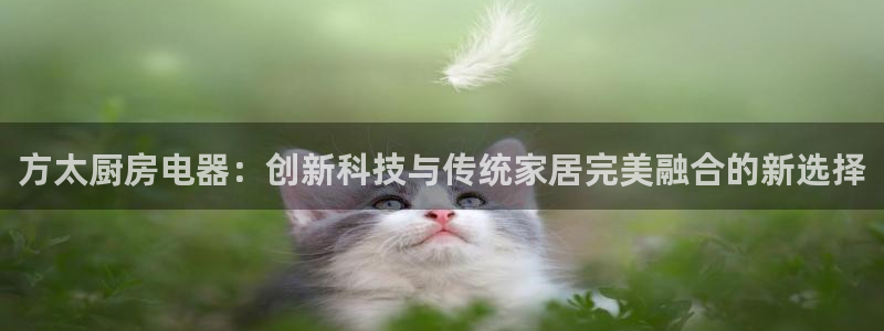 手机版鸿运平台