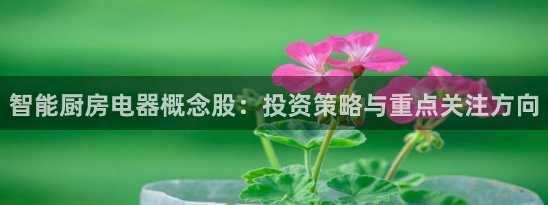 鸿运平台刷单