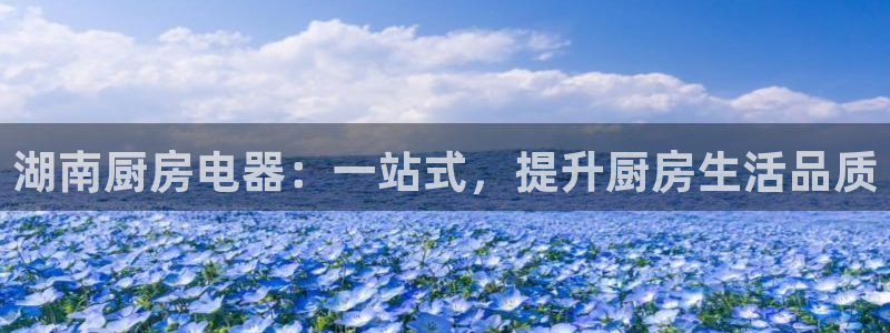 新鸿运娱乐平台