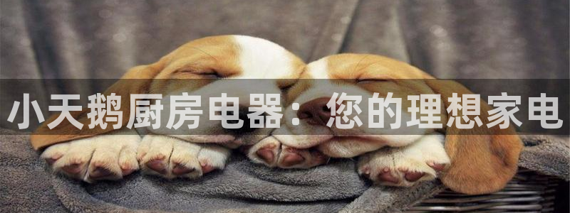 鸿运网上娱乐平台