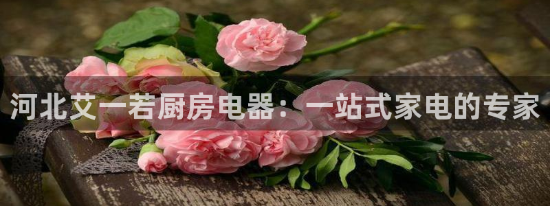 长鸿运营平台