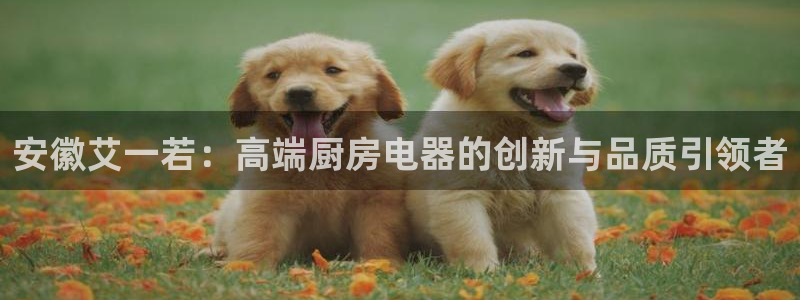 鸿运策略股票平台骗局