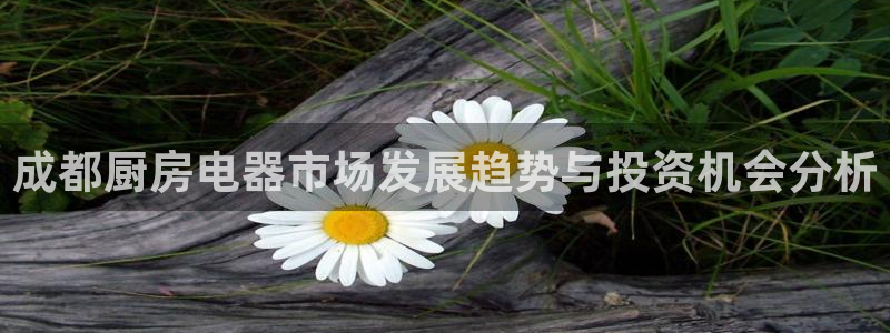 鸿运供应管理平台