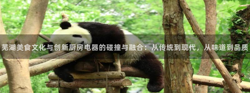 鸿运供应管理平台