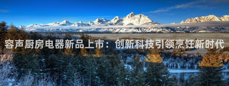 琥珀鸿运平台理财