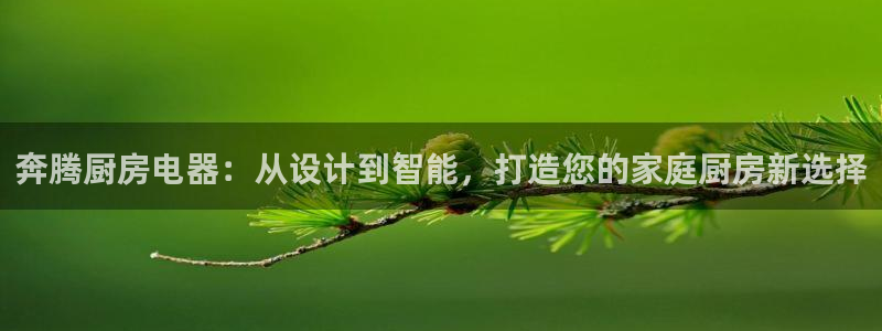 鸿运管理平台