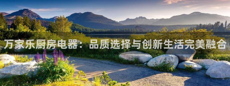 怎么进鸿运彩票平台