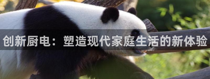 鸿运直播平台游戏