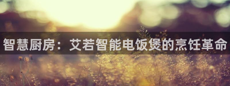 鸿运平台平台