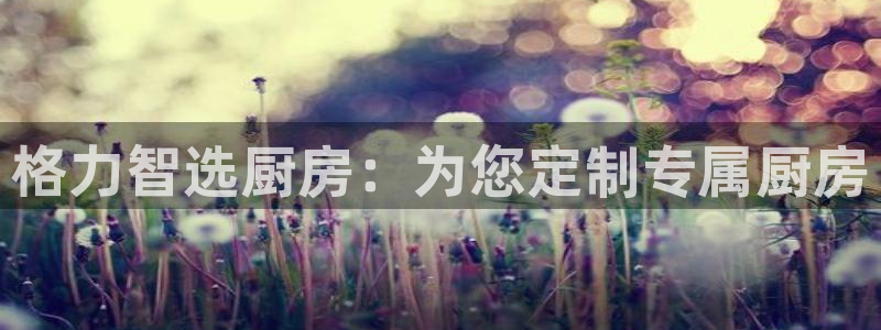鸿运网投平台