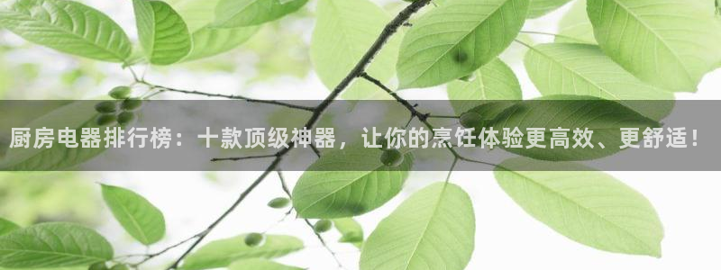 鸿运直接平台