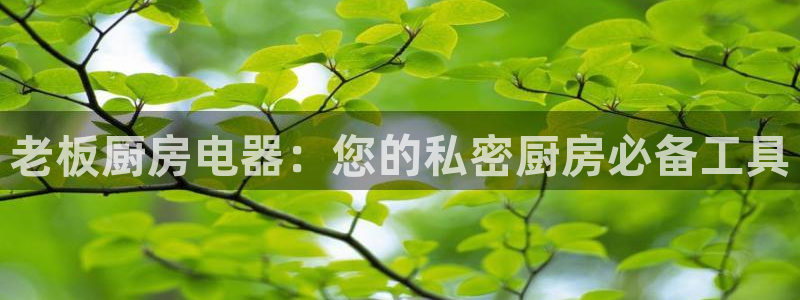 鸿运通宝平台