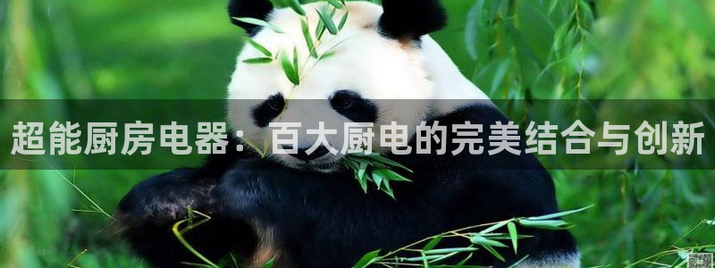 鸿运信息发布平台