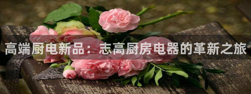 鸿运当头翡翠平台