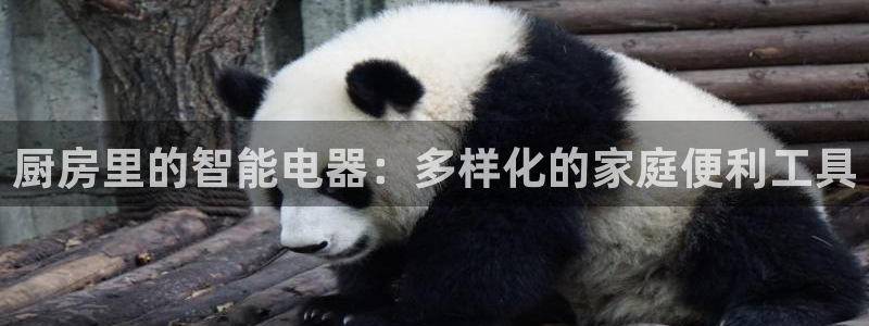 鸿运平台平