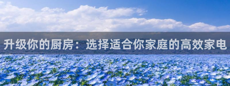 鸿运到游戏平台