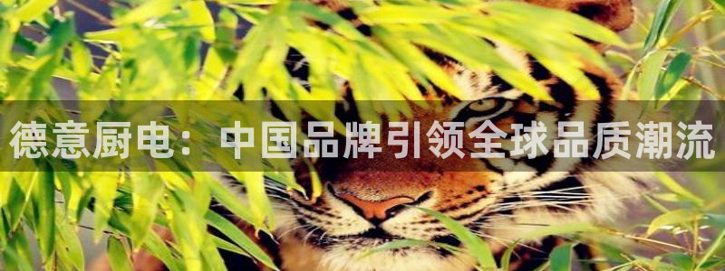 鸿运最新平台下载