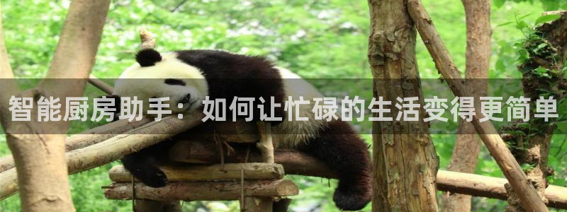 鸿运到平台被骗