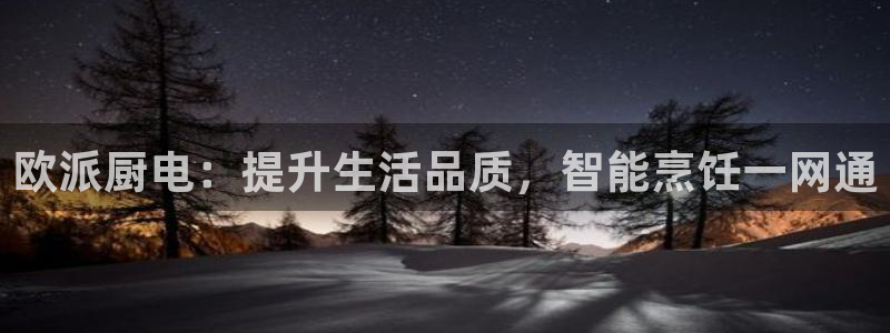 鸿运旧货交易平台