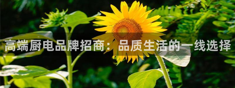 鸿运棋牌直播平台